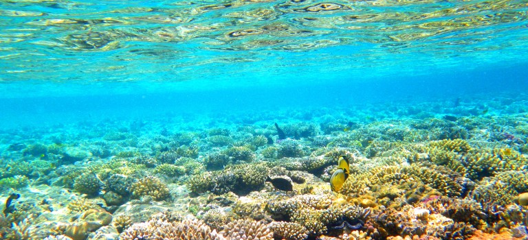 Marsa Alam – podmorská rozprávka nie len pre deti